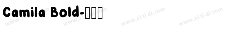 Camila Bold字体转换